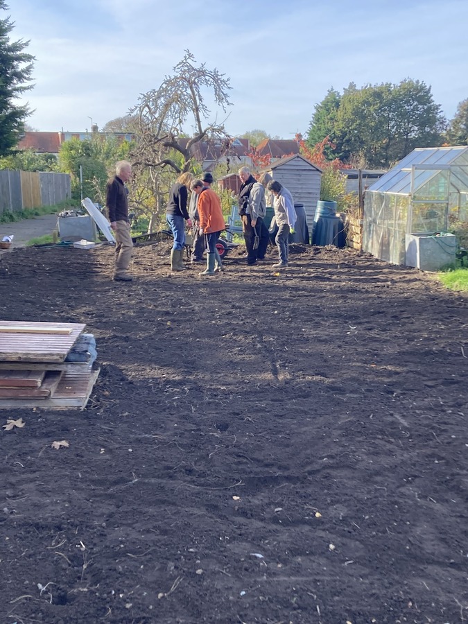 2021-11-07 11-46-59 (2)